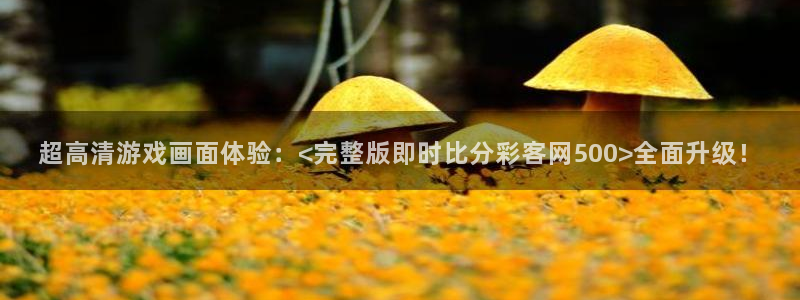 超高清游戏画面体验：<完整版即时比分彩客网500>全面升级！