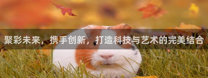 好彩运吧