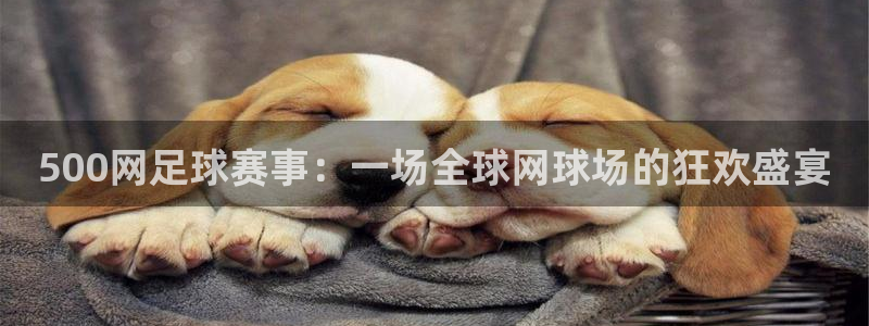 澳门好彩运集团：500网足球赛事：一场全球网球场的狂欢盛宴