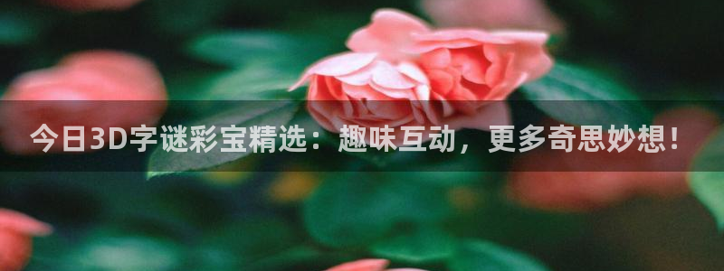 好彩运：今日3D字谜彩宝精选：趣味互动，更多奇思妙想！